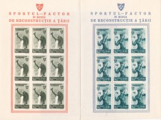 ROMANIA 1945 LP 175 a OSP DANTELAT+ NEDANTELAT BLOCURI DE 9 TIMBRE STARE MNH