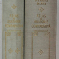 ATLAS DE ANATOMIE COMPARATIVA de VASILE GHETIE, EUGEN PASTEA ,ILIE RIGA 1954 ,2 VOL