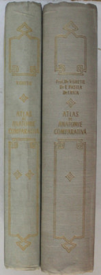 ATLAS DE ANATOMIE COMPARATIVA de VASILE GHETIE, EUGEN PASTEA ,ILIE RIGA 1954 ,2 VOL foto