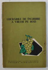LUCRARILE DE INGRIJIRE A VIILOR PE ROD , 1961 foto