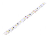Bandă LED alb cald 24V 4,8W/m