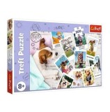 Cumpara ieftin Puzzle Trefl - Poze in vacanta, 300 piese