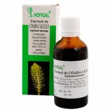 TINCTURA COADA CALULUI 50ML, Hofigal