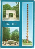 #carte postala-GORJ-Tg Jiu -colaj