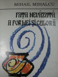 FATA NEVAZUTA A FORMEI SI CULORII- MIHAIL MIHALCU, BUC. 1996
