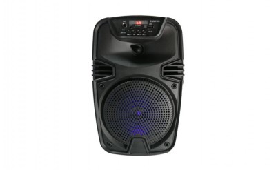 Boxa portabila cu bluetooth ZQS 6146, Radio FM, USB, TF, telecomanda, 100W PMPO foto