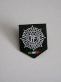 QW9 N 66 - insigna - militar - Irlanda, Europa