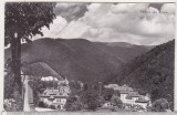 bnk cp Sinaia - Vedere - necirculata