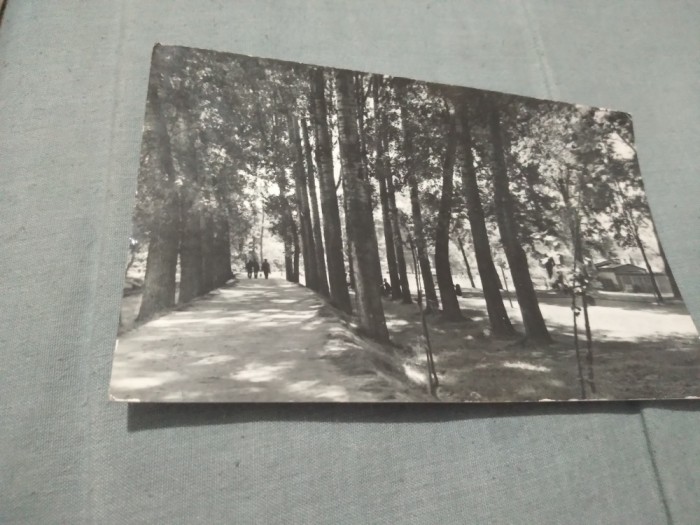 CARTE POSTALA - CARANSEBES VEDERE DIN PARC CIRCULATA