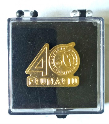 INSIGNA ANIVERSARA 40 ANI PRIMUL ZBOR IN COSMOS DUMITRU PRUNARIU AVIATIE 30/20MM foto