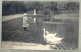 AD 88 C. P. VECHE -VERSAILLES -LE BASSIN DU MIROIR - FRANTA- 1916, Circulata, Printata