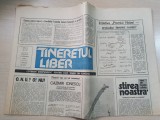 Tineretul liber 17 ianuarie 1990-articol cazimir ionecsu