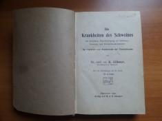 Die Krankheiten des Schweines &amp;amp;#8211; Dr. med. vet. K. Glasser foto