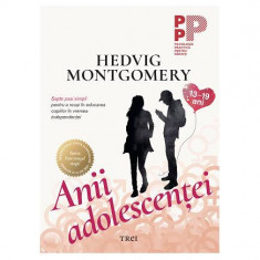 Anii adolescenței. Șapte pași simpli pentru a reuși în educarea copiilor în vremea independenței (13-19 ani) - Paperback - Hedvig Montgomery - Trei