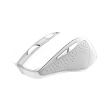 Mouse wireless Trust Nito Silent alb