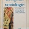 DICTIONAR DE SOCIOLOGIE - CATALIN ZAMFIR, LAZAR VLASCEANU