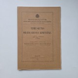 Halavats Gyula, Telegdi Roth Lajos: TEMESKUTAS es ORAVICABANYA KORNYEKE / ORAVITA si IMPREJURIMILE, Banat, Caras, Budapesta, 1911