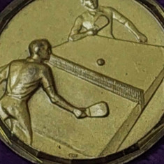 Medalie/distintie Sportiva veche-TENIS DE MASA-MILANESIO-TORINO BARDONECCHIA