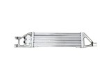 Radiator ulei Mercedes Clasa A (W169), 2004-2012; Clasa B (W245), 2005-2011 Motor 1.5, 1,7; 2,0; 2,0 Cdi, SRL, OE: 1695000200; 1695000400; 1695000500, SRLine