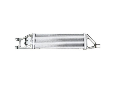 Radiator ulei Mercedes Clasa A (W169), 2004-2012; Clasa B (W245), 2005-2011 Motor 1.5, 1,7; 2,0; 2,0 Cdi, SRL, OE: 1695000200; 1695000400; 1695000500 foto