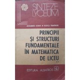 PRINCIPII SI STRUCTURI FUNDAMENTALE IN MATEMATICA DE LICEU VOL.2-ALEXANDRU LEONTE, RODICA TRANDAFIR-229228