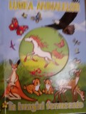 LUMEA ANIMALELOR IN IMAGINI FERMECATE