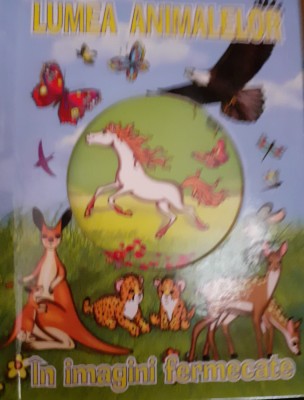 LUMEA ANIMALELOR IN IMAGINI FERMECATE foto