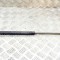 Amortizor capota dreapta față JAGUAR S-TYPE X200 2005 OEM: 4R83-16C826-AA | 14314034