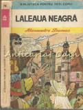 Laleaua Neagra - Al. Dumas