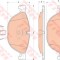 Set placute frana,frana disc BMW Seria 7 (F01, F02, F03, F04) (2008 - 2015) TRW GDB1838