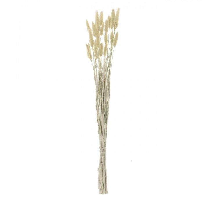 Ramuri Decorative Artificiale, Bunny Tails, 60 cm, Culoare Bej, Set 25 Bucăți