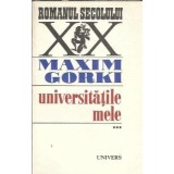 Universitatile mele (volumul 3) - Maxim Gorki