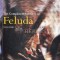 The Complete Adventures of Feluda Vol. 1 - Satyajit Ray (@B166)