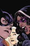 Batgirl and the Birds of Prey Vol. 1 | Shawna Benson, Julie Benson, DC Comics