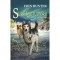Supravietuitorii. Dusmanul ascuns. Vol. II - Erin Hunter