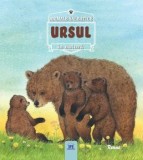 Cumpara ieftin Ursul. Animale salbatice in natura (carte cu defect minor)/Renne