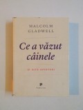 CE A VAZUT CAINELE SI ALTE AVENTURI de MALCOLM GLADWELL , 2009