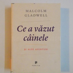 CE A VAZUT CAINELE SI ALTE AVENTURI de MALCOLM GLADWELL , 2009