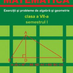 Matematica. Exercitii si probleme de algebra si geometrie - Clasa 7 - Semestrul 1 - Ion Tudor