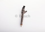 Injector HYUNDAI H-1 Starex (H300) caroserie (TQ) (2008 - 2016) BOSCH 0 445 110 274