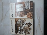 Cumpara ieftin Maidanul cu dragoste - G.M. Zamfirescu 2 volume