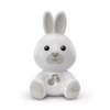 Lampa de veghe muzicala Iepurasul Dream Light +0 luni, 1 bucata, Chicco
