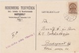 Nagykaroly Carei Rosenberg Testverek faina 1941