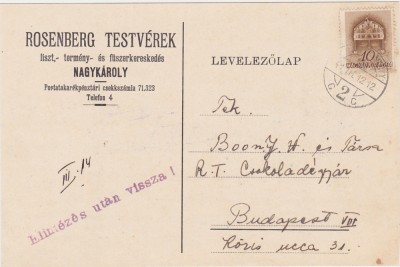 Nagykaroly Carei Rosenberg Testverek faina 1941 foto