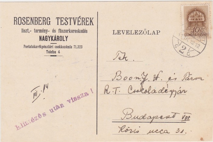 Nagykaroly Carei Rosenberg Testverek faina 1941