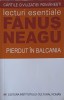 Pierdut &icirc;n Balcania - Fănuș Neagu, 2005, ICR, Roman, Beletristica, 490 pagini
