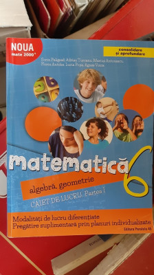 MATEMATICA ALGEBRA GEOMETRIE CAIET DE LUCRU CLASA A VI A foto