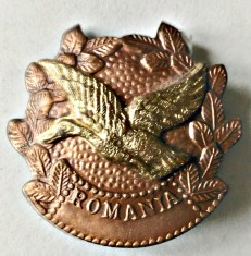 INSIGNA AGVPS RATA ZBURAND STANGA CL A 1 A AURIE VANATOARE PESCUIT AJVPS AVPS