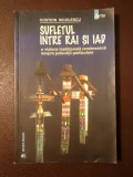 Costion Nicolescu - Sufletul &icirc;ntre rai și iad. O viziune tradițională rom&acirc;nească asupra judecății particulare