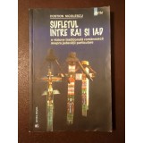 Costion Nicolescu - Sufletul &icirc;ntre rai și iad. O viziune tradițională rom&acirc;nească asupra judecății particulare